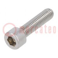 Screw; M6x25; 1; Head: cheese head; hex key; HEX 5mm; DIN 912