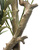 Kunstpflanze / Kunstbaum OLIVE I 172 cm grün hjh OFFICE