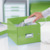 Archivbox Click & Store WOW Klein, Graukarton, grün