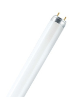 Osram LUMILUX T8 fluorescente lamp 36 W G13 Koel wit
