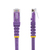 StarTech.com 50ft CAT6 Ethernet Cable - Purple CAT 6 Gigabit Ethernet Wire -650MHz 100W PoE RJ45 UTP Molded Network/Patch Cord w/Strain Relief/Fluke Tested/Wiring is UL Certifie...