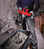 Einhell TC-MX 1400-2 E agitatore elettrico 1400 W 780 Giri/min
