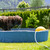 Relaxdays Hundepool, H x D: 30 x 160 cm, faltbar, mit Ablassventil, Hundeplanschbecken zur Abkühlung, PVC & MDF, blau