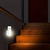 Unité(s) Lampe LED multifonctions torche / veilleuse / anti black-out 40 lumens