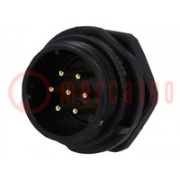 Presa; SP21; maschio; PIN: 7; IP68; 15A; saldatura; 500V; 1,5mm2