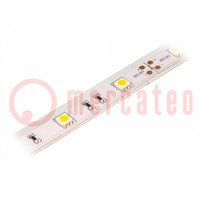 LED tape; white warm; 5050; 12V; LED/m: 30; 14.36mm; IP65; 120°
