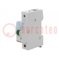 LED indicator; 230VAC; for DIN rail mounting; Colour: green