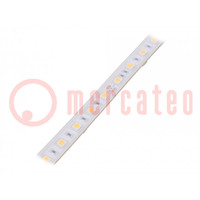 LED strips; warm wit; 5050; 24V; LED/m: 60; 10mm; witte PCB; IP65