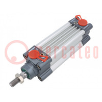 Profile cylinder; Piston diam: 12mm; Piston stroke: 50mm; 1÷10bar