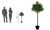 PAPERFLOW Kunstpflanze "Olivenbaum", Höhe: 1250 mm (74600197)