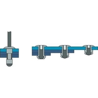 BRALO - REMACHE MULTIGRIP ALUMINIO/INOXIDABLE DIÁMETRO 3,2X8MM