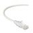 Black Box CAT6 0.3m kabel sieciowy Biały 0,3 m U/UTP (UTP)