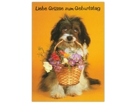 Geburtstagskarte ABC Hund mit Blumenkorb 11,5x17cm