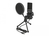 Delock USB Kondensator Mikrofon Set - für Podcasting, Gaming und Gesang
