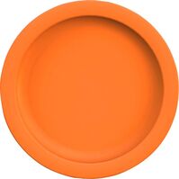 Teller flach "Colour" Ø24,1cm PBT orange