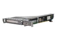 ProLiant ML350 Gen11 , interface cards/adapter ,