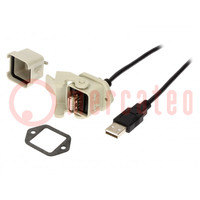 Kabel-Adapter; USB 2.0,mit Schutzkappe; Variante: gerade; IP65
