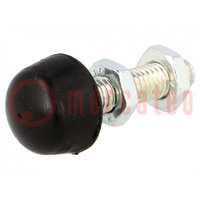 Clamping bolt; Thread: M6; Base dia: 12mm; Kind of tip: rounded