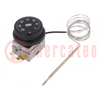 Sensor: thermostat with capillary; SPDT; 10A; 400VAC; ±9°C; BT