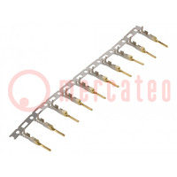 Contact; male; copper alloy; gold flash,nickel plated; J2000