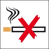Modellbeispiel: Hinweisschild zur Betriebskennzeichnung, Rauchen verboten (Art. 21.5066)