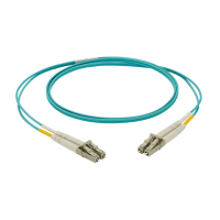 Panduit NKFP62ELLLSM010 cable de fibra optica 10 m LC OM1 Naranja