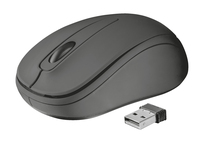 Trust 21509 mouse Ambidextrous RF Wireless Optical 1000 DPI