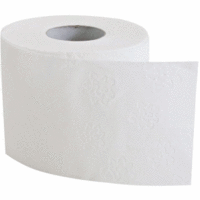 Toilettenpapier Kleinrolle Zellstoff 3-lagig 11,5x9,6cm hochweiß VE=8 Rollen