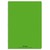 CONQUERANT C9 Cahier piqûre 21x29,7cm 96 pages 90g grands carreaux Seyès. Couverture polypropylène Vert