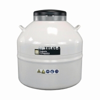 Recipiente de almacenamiento de nitrógeno AC 2XL-B/ AC 3XL-B Tipo AC 3XL95-B