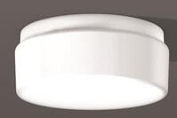RZB Opalglas-Leuchte 100W 21171.002 Kreis seidenmatt A60 d=280mm