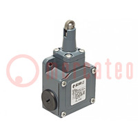 Limit switch; steel roller Ø13mm; NO + NC; 10A; max.500VAC; IP67