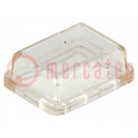 Accessories: cover; Body: transparent; 15x21mm