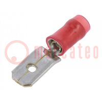Connector: vlak; 6,3mm; 0,8mm; mannelijk; 0,5÷1mm2; klemmen; rood