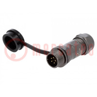 Spina; ST12; maschio; PIN: 5; IP67; 5÷8mm; 5A; saldatura; 180V