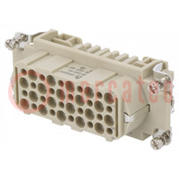 Connector: HDC; contact insert; female; DD; PIN: 40; 40+PE; crimped