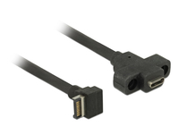 DeLOCK 85326 câble USB USB 3.2 Gen 2 (3.1 Gen 2) 0,45 m USB A USB C Noir