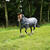 Horse Riding Fly Sheet For Horse & Pony Comfort - Asphalt Grey - XFS