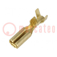 Terminal: flat; 2.8mm; 0.5mm; female; 0.3÷1mm2; crimped; for cable