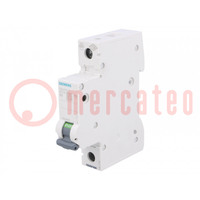 Circuit breaker; 230VAC; Inom: 1A; Poles: 1; for DIN rail mounting