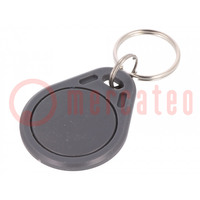 RFID Schlüsselanhänger; ISO 11784/5,T5577; Kunststoff; grau