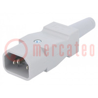 Connector: AC-voeding; stekker; mannelijk; 10A; 250VAC; IEC 60320
