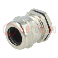 Cable gland; PG13,5; IP68; brass; Body plating: nickel; RRPL