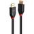 LINDY 5m Active DisplayPort 1.4 Cable