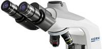 Kern OBE 124 OBE 124 Átvilágító mikroszkóp Trinokulár 400 x Átvilágítás