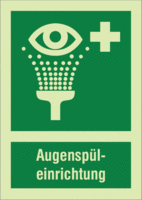 Kombischild - Augenspüleinrichtung, Grün, 37.1 x 26.2 cm, Kunststoff, B-7583