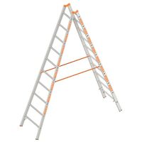 Double sided rung ladder