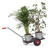 fetra® Handwagen mit wasserfestem Sperrholzboden, verzinkte Ausführung für den Außenbereich