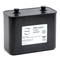Pack(s) Batterie Nimh porto rechargeable 6V 9Ah