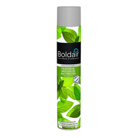 Boldair PV56075501 purificateur d'air liquide Pulvérisateur de rafraichissement d'air Vert Menthol, Menthe 500 ml